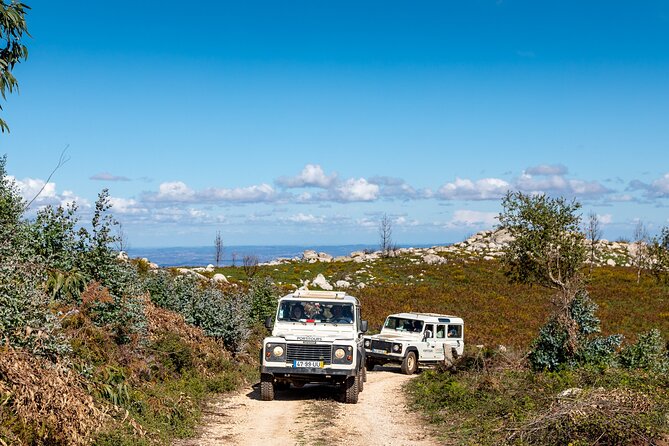 Algarve a la Carte - The beaches near the west coast: when “time to walk” is the best ingredient