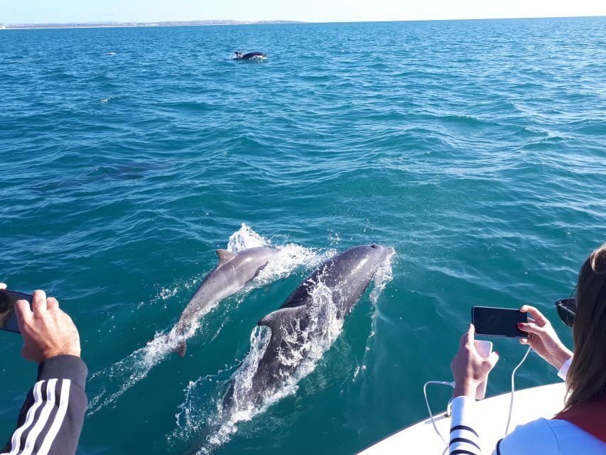 Algarve: Boat Trip to the Caves of Benagil - Key highlights worth knowing