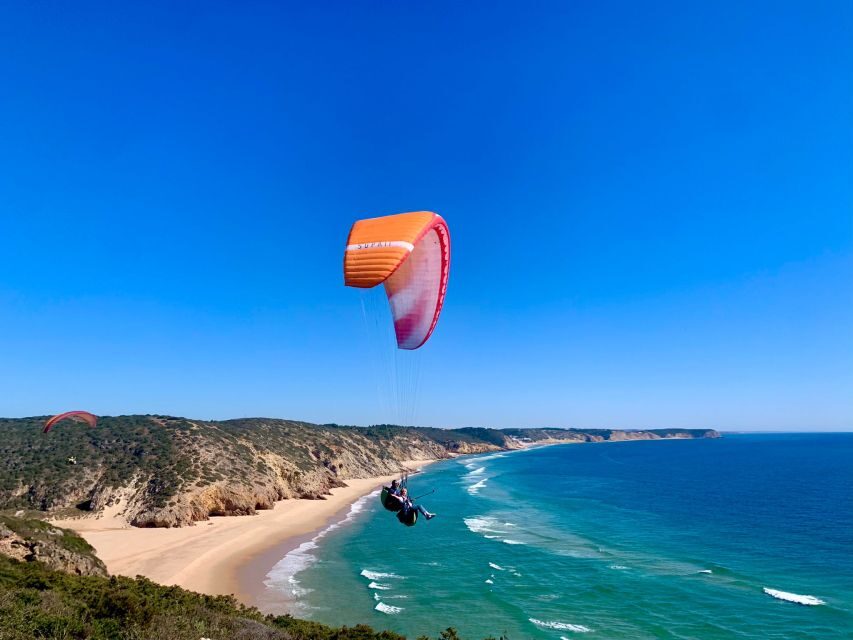 Algarve Coast: Paragliding Experience - Key highlights you’ll actually care about