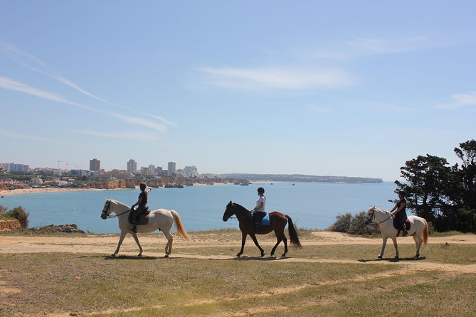 Algarve - Exclusive horseriding in Portimao (no experience required) - Entering GM Equestrian’s Algarve Horse Trek (Alvor-to-Coast)