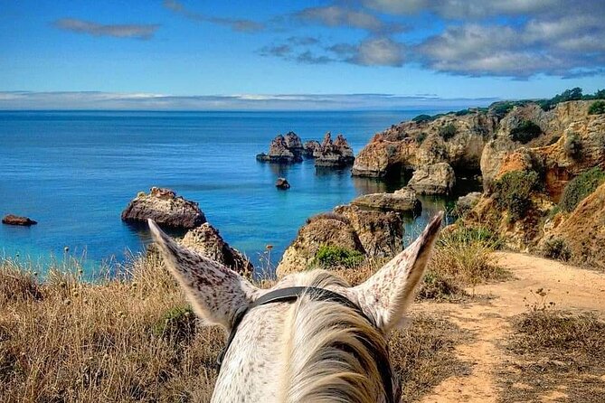 Algarve - Exclusive horseriding in Portimao (no experience required) - What the 90kg Weight Limit Means for Your Booking