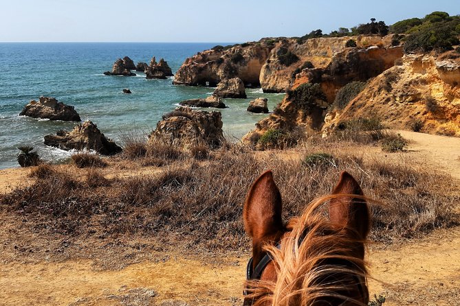Algarve - Exclusive horseriding in Portimao (no experience required) - The Horses Are the Story: Rescue Backgrounds and Calm Temperaments