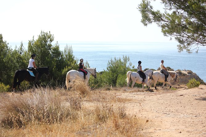 Algarve - Exclusive horseriding in Portimao (no experience required) - How Long Is It, Really, and What You Get for the Time