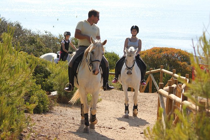 Algarve - Exclusive horseriding in Portimao (no experience required) - The First Stage: Horse Intro and a Real-World Briefing