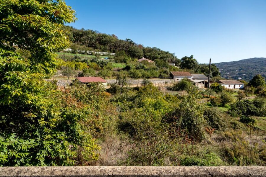 Algarve: Full-Day Guided Sightseeing Tour with Lunch - Price and logistics: is $116 worth it?
