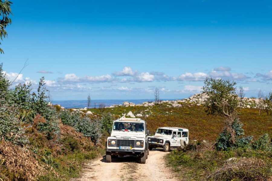 Algarve: Full-Day Guided Sightseeing Tour with Lunch - Monchique Mountain and Caldas de Monchique: spa village charm and a climb to 902 meters