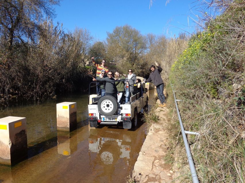Algarve Full-Day Jeep Safari Tour with Lunch - Lunch on the Mountain Roads: Chicken Piri Piri and Local Drinks