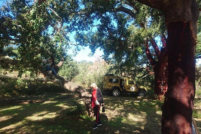 Algarve Half Day Jeep Safari (PRIVATE TOUR) - Paderne Castle: a quick ticketed stop with real historical context