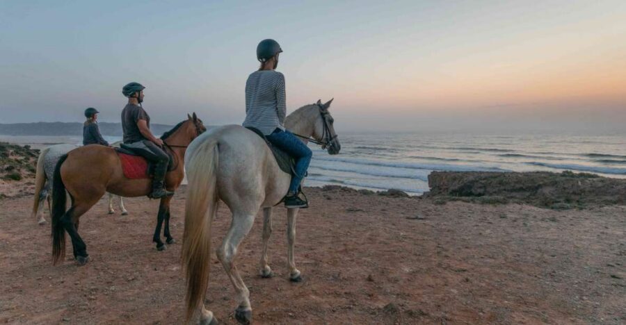Algarve: Horse Riding Beach Tour at Sunset or Morning - Key highlights to know before you go