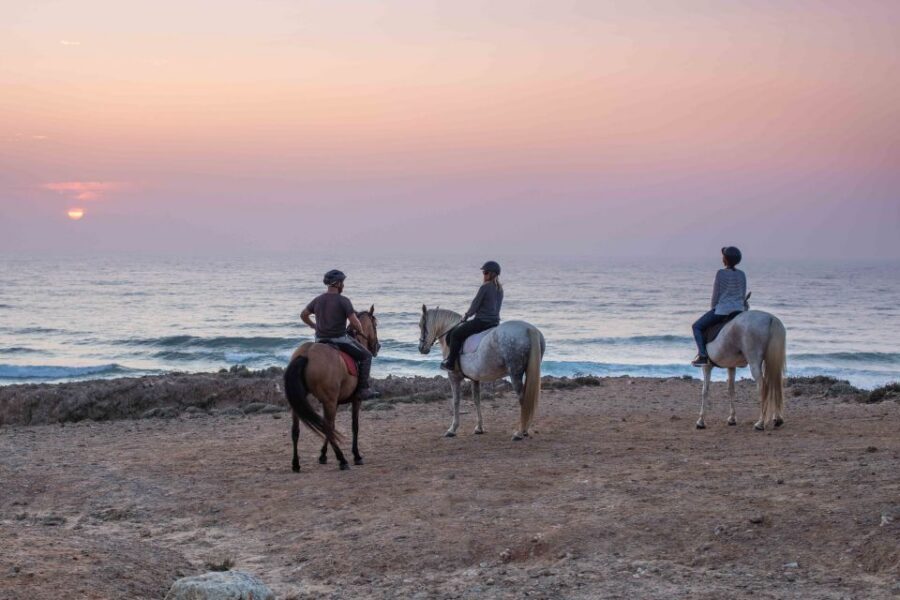 Algarve: Horse Riding Beach Tour at Sunset or Morning - Walking the beach: wind, salt air, and the sunset payoff