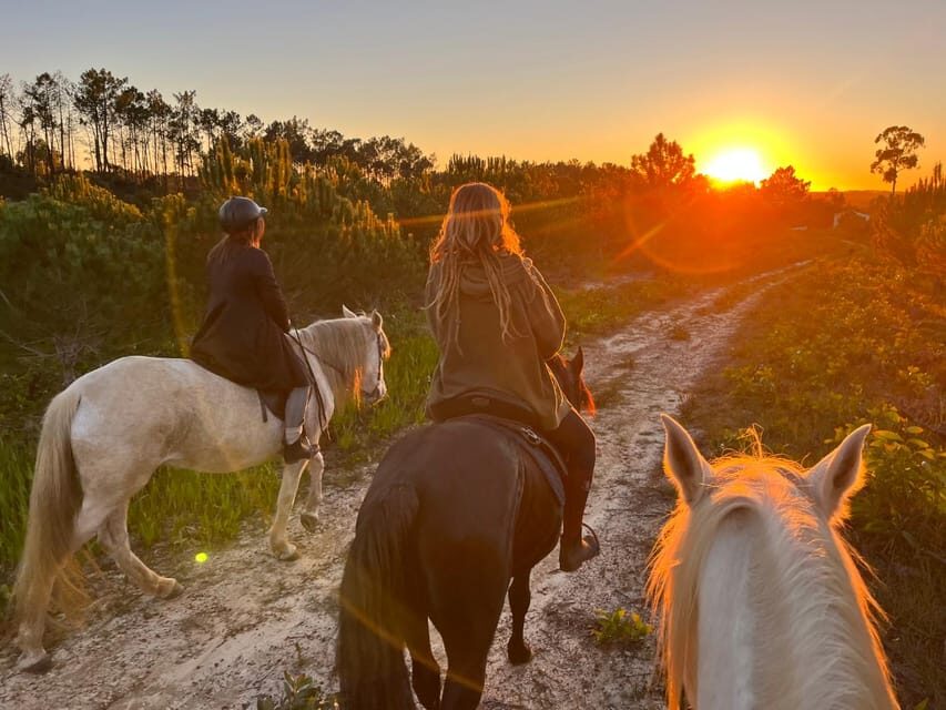 Algarve Horseriding tour in the countryside of Aljezur Rogil - The route: cork oak forests, streams, and backland fields