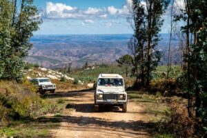Algarve: Jeep Safari with Distillery Visit & Lunch - The 7.5-Hour Flow: Pickup, Jeep Ride, and When You Actually Get to Look