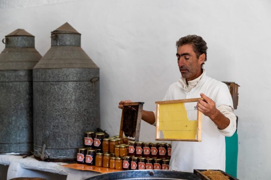Algarve: Jeep Safari with Distillery Visit & Lunch - Traditional Honey Production: Watch the Craft, Then Taste the Difference
