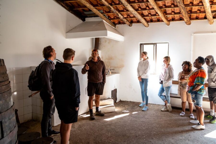 Algarve: Jeep Safari with Distillery Visit & Lunch - Guide Style in the Real World: Humor, Facts, and Safe Off-Road Driving