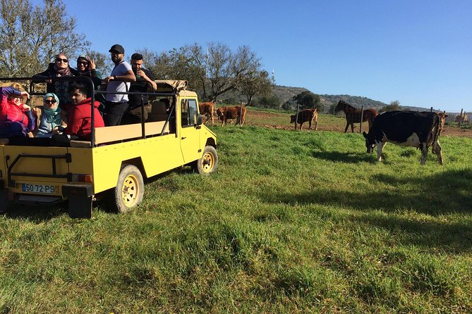 Algarve Mountains & Villages - Half Day Jeep Safari Trip - Key things to know before you go