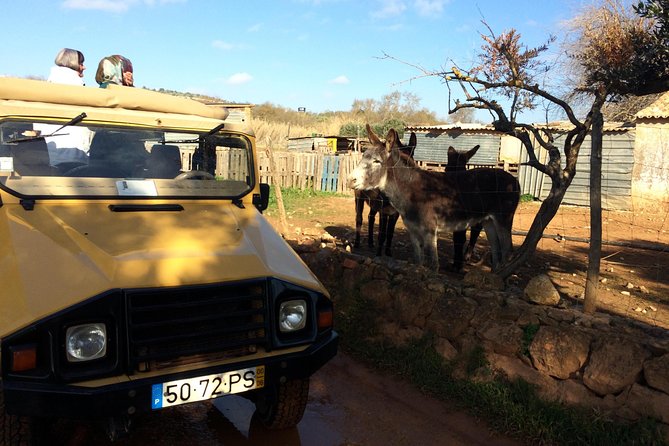 Algarve Mountains & Villages - Half Day Jeep Safari Trip - Getting Back to Albufeira: Plan Your Evening Like a Local