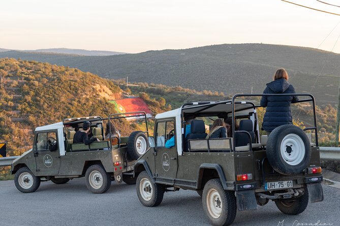 Algarve Safari - Full Day Tour from Albufeira w / lunch - Stop-by-Stop: Paderne Castle, Paderne Village, and the Culture Pieces