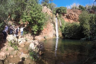 Algarve Safari - Full Day Tour from Albufeira w / lunch - Getting Picked Up in Albufeira (Timing and Practical Notes)