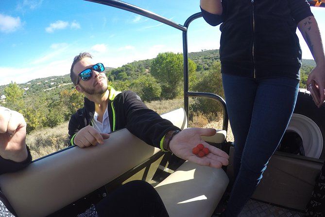 Algarve Safari - Full Day Tour from Albufeira w / lunch - Queda do Vigário: Scenic Time Built Into the Drive