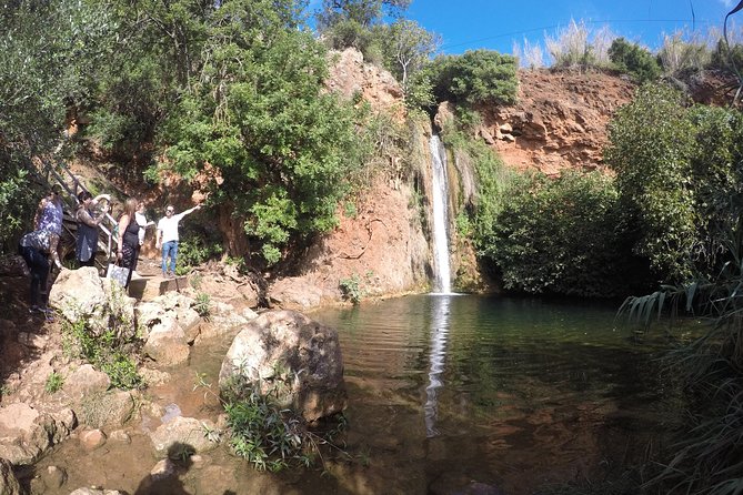 Algarve Safari - Full Day Tour from Albufeira w / lunch - Getting Picked Up in Albufeira (Timing and Practical Notes)