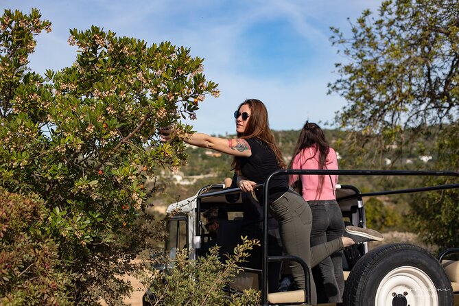Algarve Safari - Half Day from Albufeira - Stop 3: Queda do Vigario, where weather decides how much you see