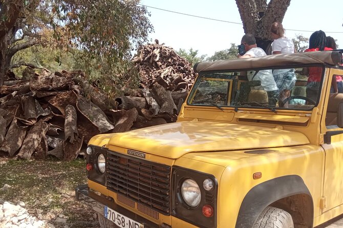 Algarve Sunset Experience - Half Day Jeep Safari Trip - From Albufeira to Off-Road Tracks: What the Jeep Ride Feels Like