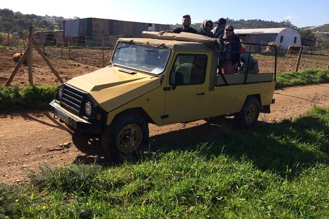 Algarve Sunset Experience - Half Day Jeep Safari Trip - Alte Village Center: Pastéis de Nata in a Typical Algarve Town