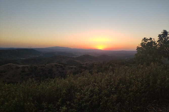 Algarve Sunset Safari Tour from Albufeira - Group Size, Timing, and Getting the Most Out of 3 Hours