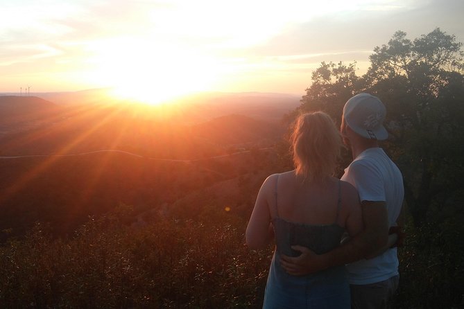 Algarve Sunset Safari Tour from Albufeira - Who Should Book This Safari (And Who Might Not Love It)