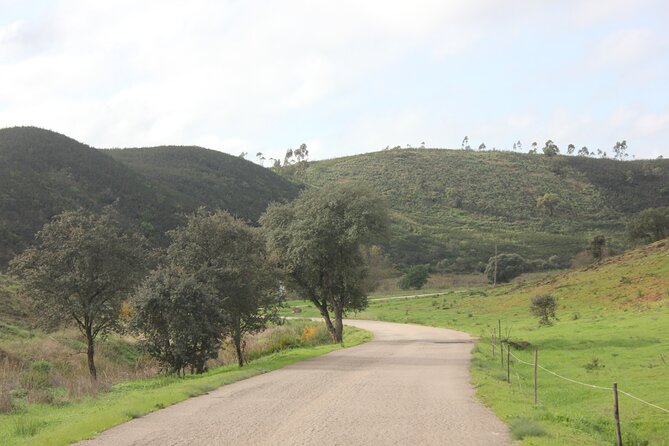 Algarve - The best views from Alvor to Ferragudo by ATV - The Ria de Alvor Nature Reserve: where the scenery starts calm