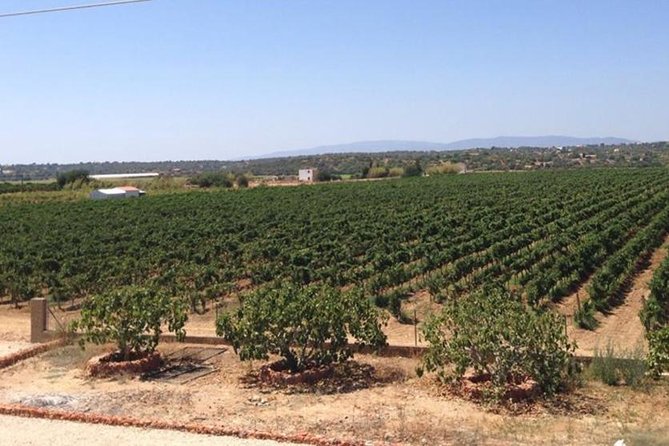 Algarve wine tour and mountain top trip with lunch or dinner at sunset time - Monchique town and the cork-country views on the way up