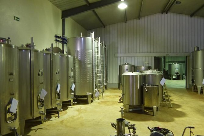 Algarve Wine Tour of Two Wine Estates - Stop 1: Villa Alvor—family farming, cork trees, and Monchique views