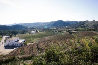 Algarve Wine Tour of Two Wine Estates - Portimão pickup and the small-group feel