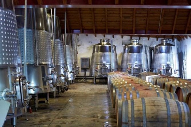 Algarve Wine Tour of Two Wine Estates - Stop 2: Quinta do Frances—northern Algarve vineyards at the Monchique Mountains’ edge