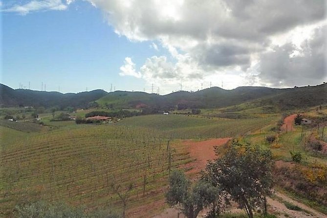 Algarve Wine Tour of Two Wine Estates - Your guide sets the tone: Fábio’s style and why it works