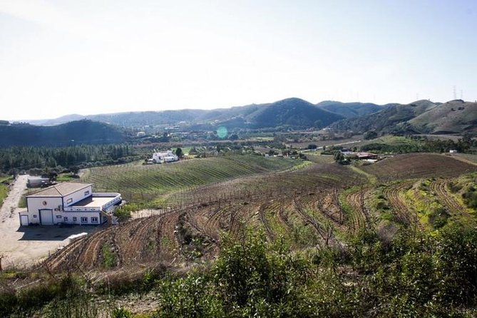 Algarve Wine Tour of Two Wine Estates - Portimão pickup and the small-group feel