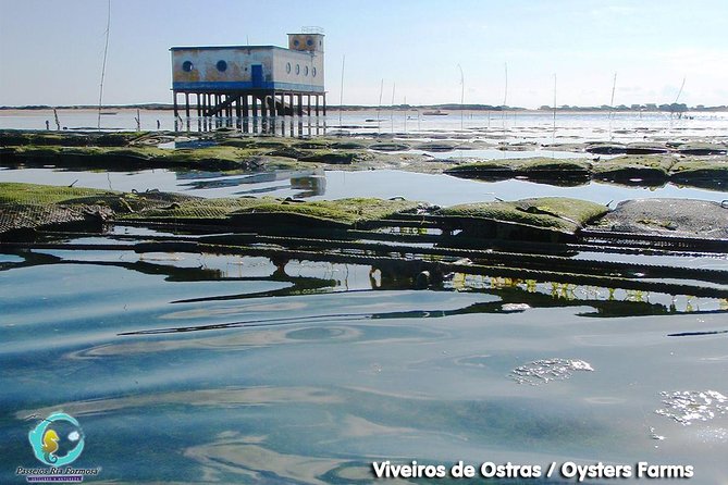 All Day Route in Fuseta - Ria Formosa by boat: what this full-day loop really covers