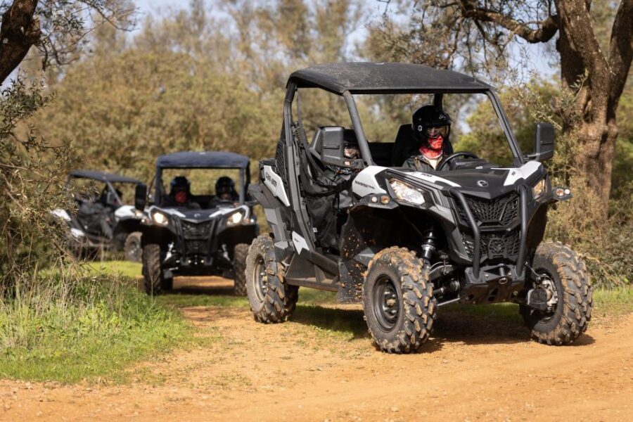 Almancil: Algarve Guided Off-Road Buggy Adventure - Entering the Off-Road World Around Almancil