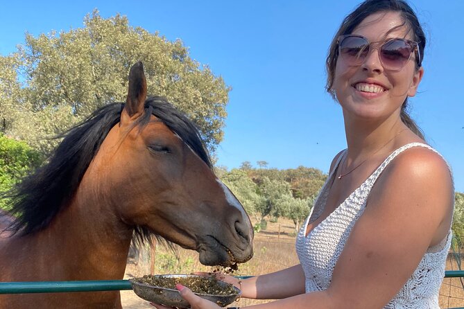 Alpaca Farm MamaAdama Meet & Feed - Weather and flexibility: what can change on the day