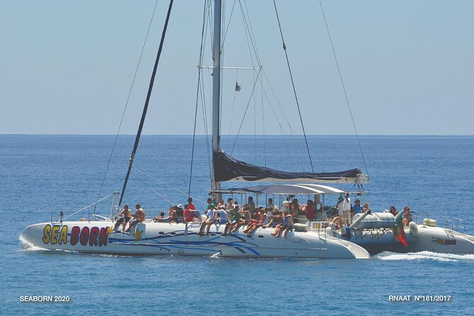 Amazing Skywalk, Wine Tasting & 4x4 Adventure + Dolphin Watching - Cabo Girão glass skywalk plus Madeira’s best sea views
