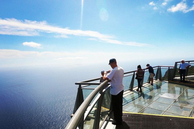 Amazing Skywalk, Wine Tasting & 4x4 Adventure + Dolphin Watching - Câmara de Lobos: wolf seal country on your Madeira checklist