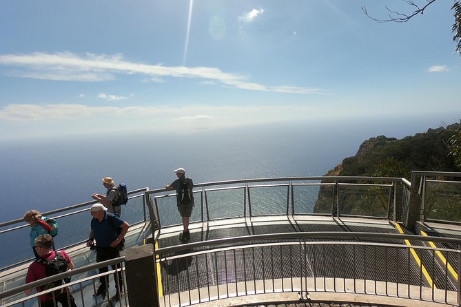 Amazing Skywalk, Wine Tasting & 4x4 Adventure + Dolphin Watching - On the water: dolphins, whales, and the rules that protect them