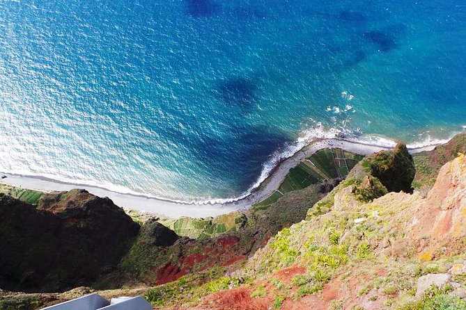 Amazing Skywalk, Wine Tasting & 4x4 Adventure + Dolphin Watching - What makes this tour feel like good value