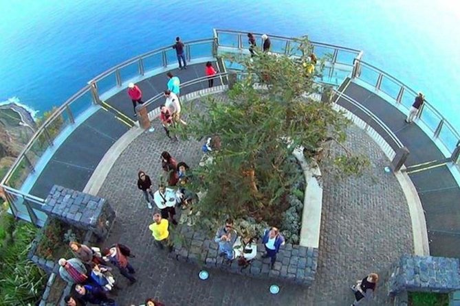Amazing Skywalk, Wine Tasting & 4x4 Adventure + Dolphin Watching - Who this tour suits best (and who should adjust expectations)