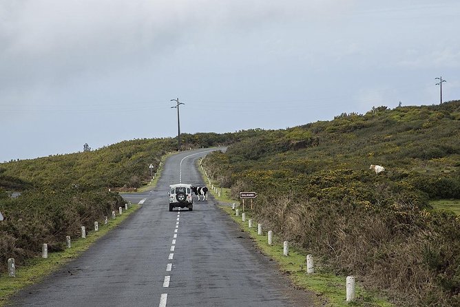 Amazing West - Jeep Safari Tour - Full Day - Shared Tour - Fanal Forest and the 1,400m plateau: nature that feels otherworldly