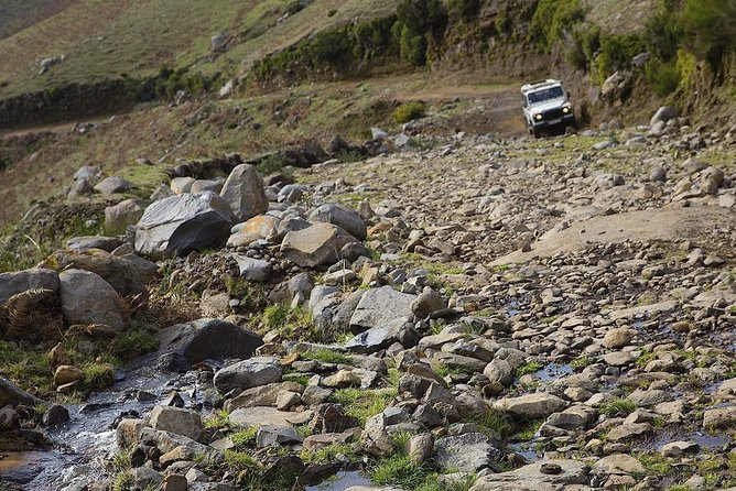Amazing West - Jeep Safari Tour - Full Day - Shared Tour - Laurissilva Forest off-road: the safari part you came for