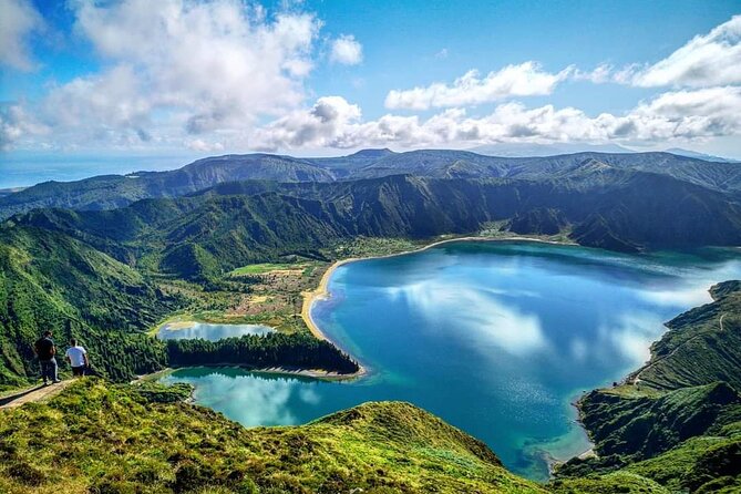 Among Whales Dolphins and Volcanoes Full Day Tour With Lunch - Buffet lunch with drinks: more than just fuel