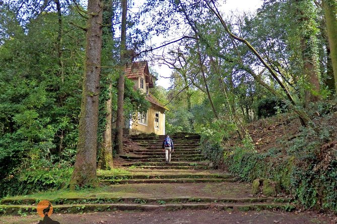 An adventure through the Forest and Palace of Bussaco - Coimbra - How Sérgio Forte turns the walk into a story you can remember