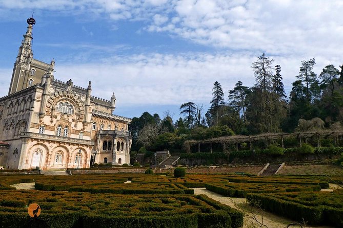 An adventure through the Forest and Palace of Bussaco - Coimbra - Price and value: what about $90 buys you