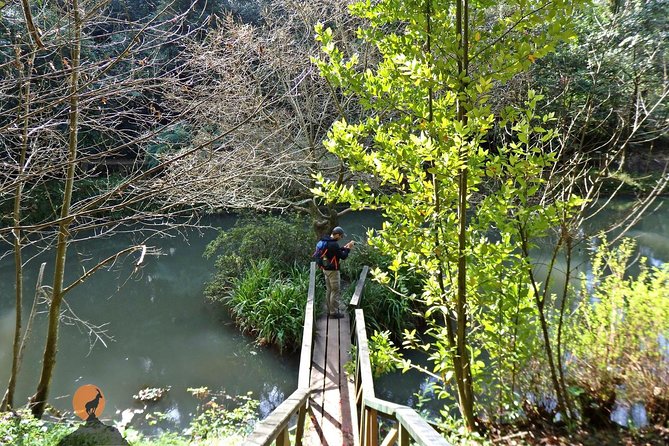 An adventure through the Forest and Palace of Bussaco - Coimbra - What to bring for a forest-and-palace day